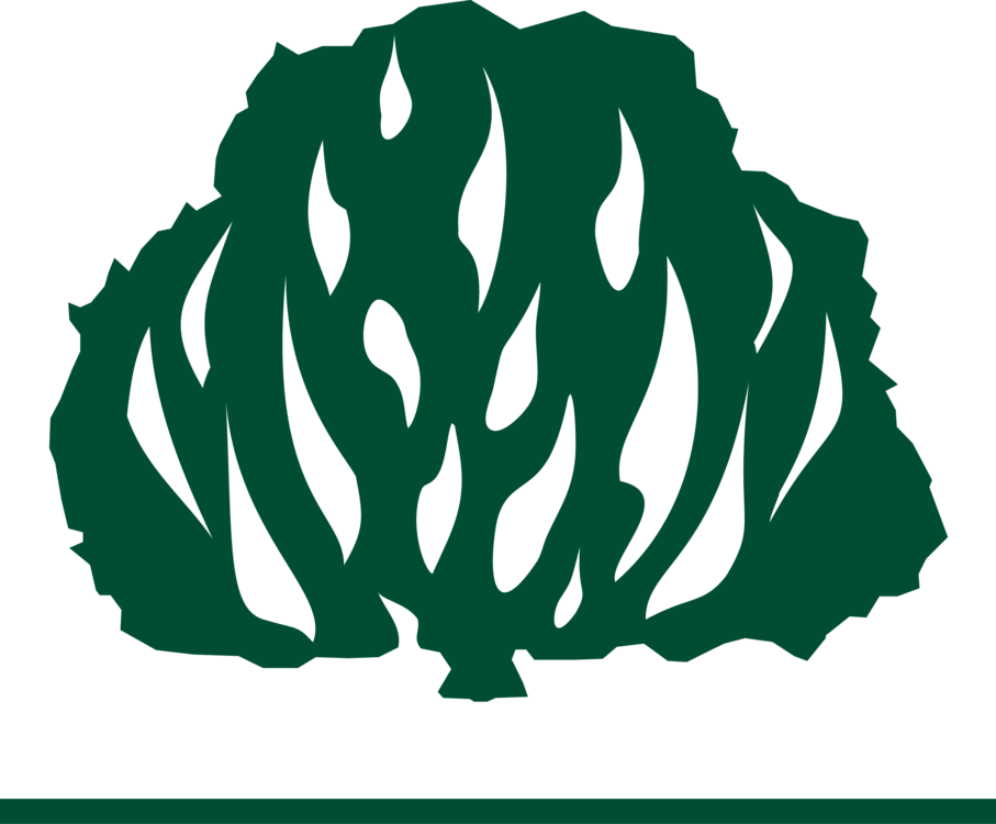 Igreja Presbiteriana Videira em Carpina